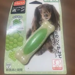Hartz デンタルケアボーン 緑のサムネイル