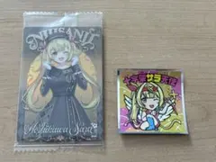 星川サラ カード類まとめ売り