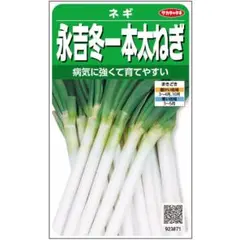 タコヒデ様 リクエスト 3点 まとめ商品