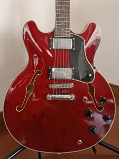 Alvarez AAT33 エレキギター 本体 セミホロウのサムネイル