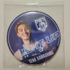 福井ブローウィンズ