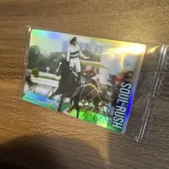 サラブレッドホースコレクションツインウエハース　ソウルラッシュ　金泊サイン