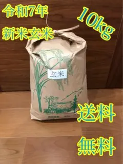 農家直送 福岡県産 ヒノヒカリ 玄米 10kg - メルカリ
