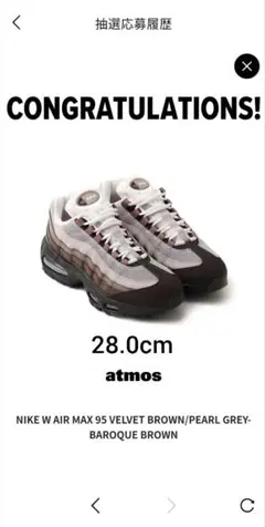 ナイキ エアマックス 95 ビッグバブル ベルベットブラウン ウィメンズ