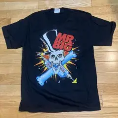 MR.BIG ミスタービッグ シャツ ロックT バンド ヴィンテージ レア USA製 MR.BIG ミスタービッグ シャツ ロックT バンド ヴィンテージ