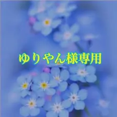 ゆりやん様専用