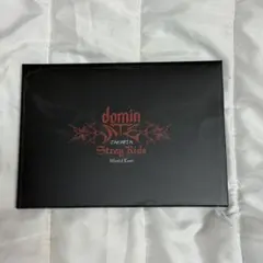 Stray kids スキズ dominate vip特典 ポストカード