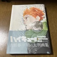 ハイキュー!! Complete Illustration Book