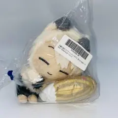 【匿名配送】棗巳波　おやすみぬい　ズール