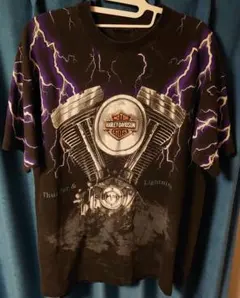 Item thumbnail for item dd5665b0-4940-4b4d-931e-7196dbfe6a04