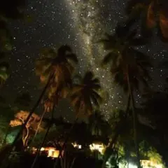 Fourblack様ご専用