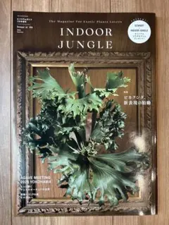 INDOOR JUNGLE 3冊セット INDOOR JUNGLE 雑誌 3冊セット - メルカリ