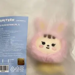 チョントラム ぬいぐるみ 2025年最新】チョントラムの人気アイテム - メルカリ