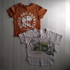 美品　恐竜　Ｔシャツ　100 　ベージュ　ブラウン系　ダイナソー　茶系