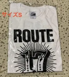 Item thumbnail for item 436c89b6-2df0-4a13-8d87-242b79fa307a