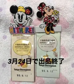3月24日出品終了／東京ディズニーランド ／ミニー マウス／チケットホルダー