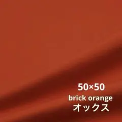 50×50レンガオレンジ 秋色 ハロウィン 綿 オックス 延長可