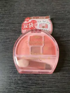 CANMAKE キャンメイク プランぷくコーデアイズ04 限定色　涙袋パレット