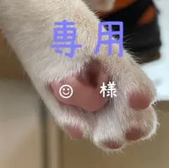 ☺︎ 【即購入可】様 リクエスト 3点 まとめ商品