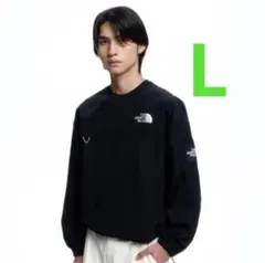 韓国限定 　L　ノースフェイス ALBANY EX CREWNECK ロンT
