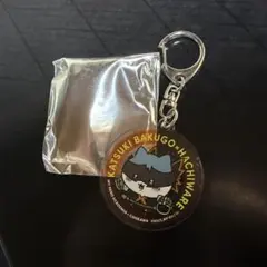 Item thumbnail for item 796174b1-8fc5-415c-b4a9-945f0b62942d