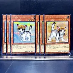 遊戯王　レスキューキャット　絵違い　通常　シク　2種　各3枚セット