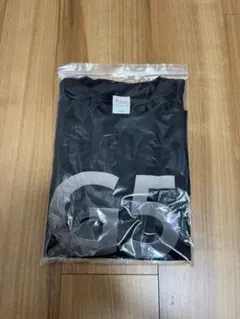 未使用品 Apple アップル G5 ノベルティTシャツL 企業系のサムネイル