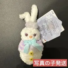 mokorinrin様 リクエスト 2点 まとめ商品