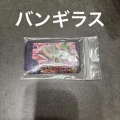 バンギラス　ポケモンフレンダ　ベストタッグ　第四弾　スーパートレジャー