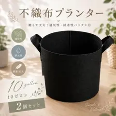 プランター 不織布 ベランダ栽培 10ガロン 2個セット 軽量 通気性 家庭