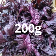 赤紫蘇　赤しそ200g.407のサムネイル
