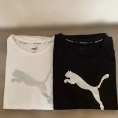 【お値下げ】PUMA 半袖Tシャツ 2枚セット