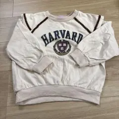 Item thumbnail for item 8e50c119-f1cc-4153-8722-d06ffeedafde