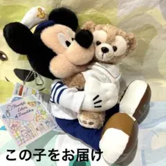 ハートフェルトレターズオブフレンドシップ　ミッキーダッフィーぬいぐるみバッジ