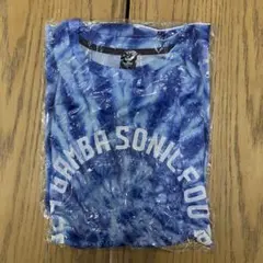 Item thumbnail for item d16965d3-e7ce-4dbd-ab14-2997b06d7cd9