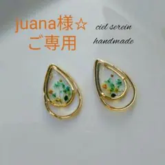 ティアドロップ 押し花 ハンドメイドピアスorイヤリング no.192