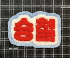 もこもこネームワッペン　seventeen エスクプス