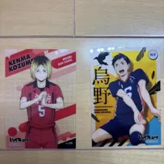 Item thumbnail for item 49f70e00-dd63-4121-bfda-8e590a7183f0