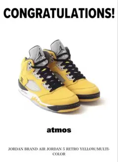 Nike Air Jordan 5Retro 