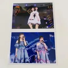 乃木坂46 7thバスラ　ライブ写真