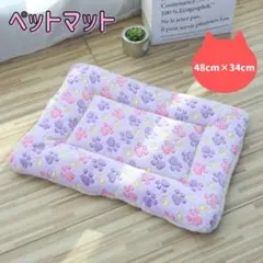 Item thumbnail for item dcc3ddf3-5c78-43f4-9bb1-3a085b535e3a