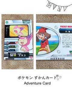 ポケモン ずかんカード アドベンチャーカード サトシのキモリ - メルカリ
