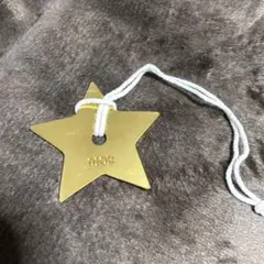 新品 非売品 Dior ディオール スターチャーム 星 ゴールド