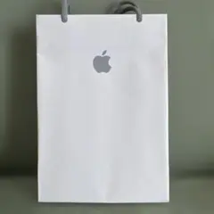 Apple ギフト袋 3枚セット 大中小 Apple ギフト袋 3枚セット 大中小