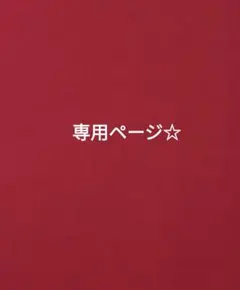 専用ページ☆　　ぽん様