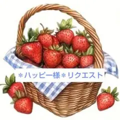 ＊パッピー様 リクエスト 3点 おまとめ商品＊