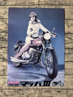 KAWASAKI オートバイ バイク ポスター 楽天市場】カワサキ バイク ポスターの通販