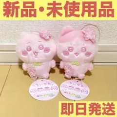 《ちいかわ》ぬいぱれっと さくらいろ マスコット① ちいかわ ハチワレ 2個