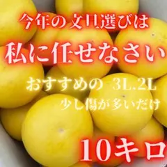 文旦 山北みかん ポンカン 好きにも 108 - メルカリ