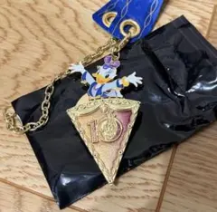 上海ディズニー 10周年 限定キーホルダー - メルカリ